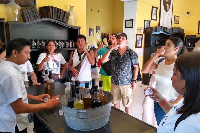 Light & Sound Show "Nights of Kukulkan" Tour from Riviera Maya - Who Should Consider This Tour?