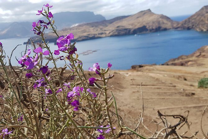 Lighthouse View 3 (Cais do Sardinha, Lighthouse and return to Cais do Sardinha) - FAQ