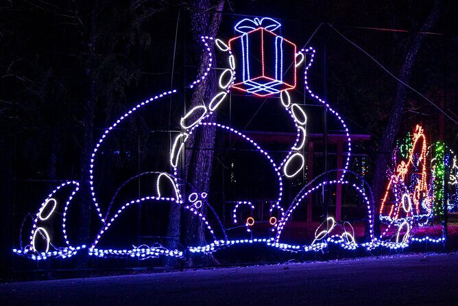 LIghts of Joy Christmas Light Drive-Thru - FAQs