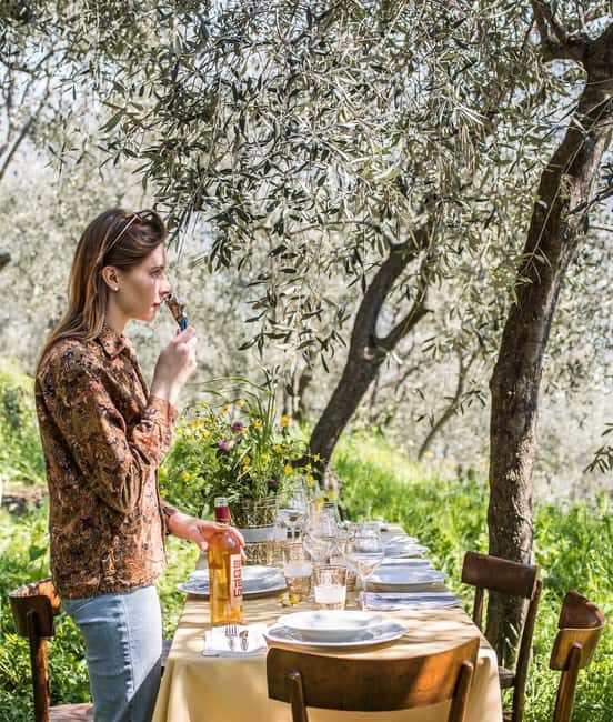 Ligurian Hinterland: Olive Grove Visit and Tasting - The Itinerary: What to Expect