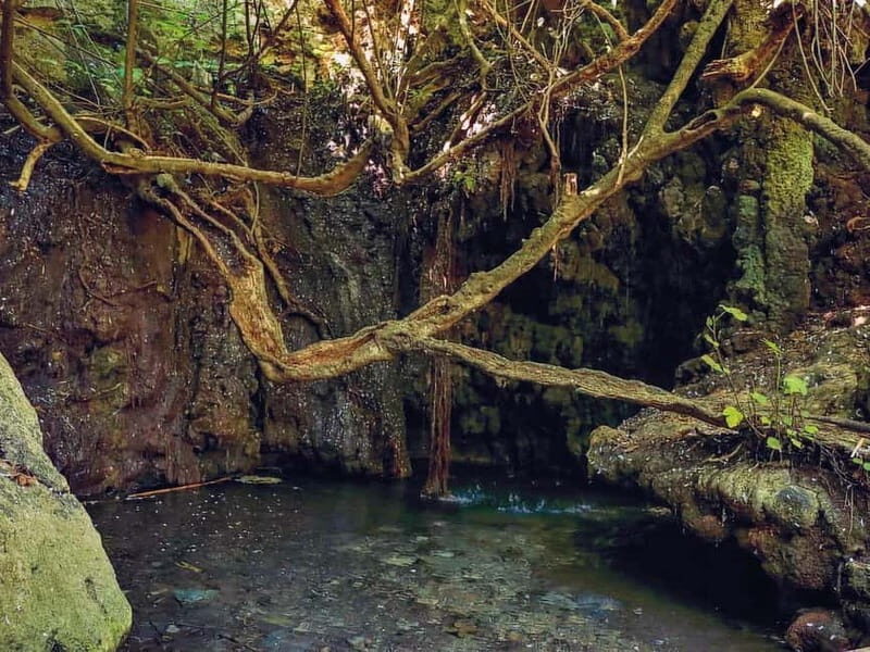 Limassol: Aphrodite Baths & Blue Lagoon Bus & Boat Day Tour - Key Points