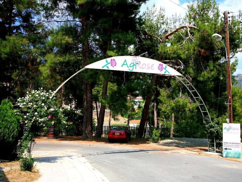 Limassol: Authentic Gourmet Tour with Wine and Food Tasting - FAQ