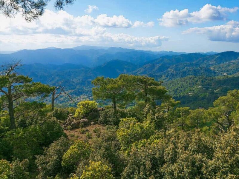 Limassol: Beauty, Nature and Charm of Troodos Mountains - An In-Depth Look at the Experience