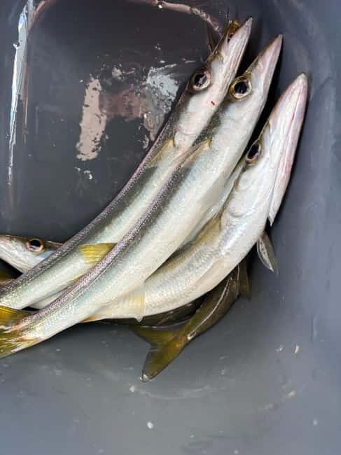 Limassol: Boat trip with swimming stop - Key Points