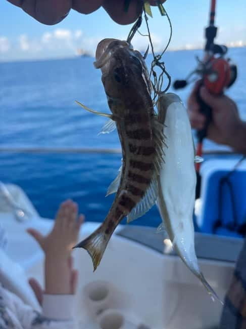 Limassol: Boat trip with swimming stop - Who Is This Tour Best For?