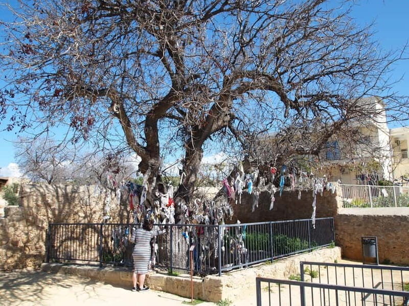 Limassol: Shore Excursion to Paphos from Past to Present - Final Thoughts