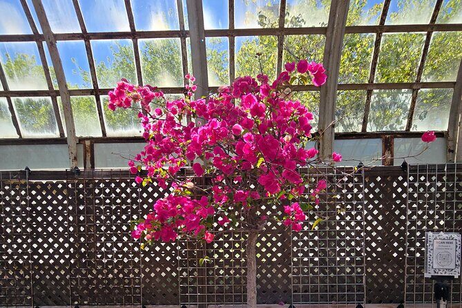 Lincoln Park Nature Museum and Zoo Public Walking Tour - An In-Depth Look at the Lincoln Park Tour