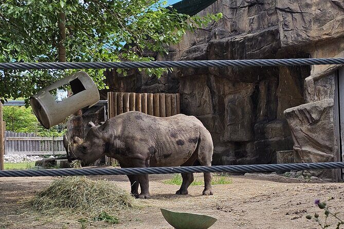 Lincoln Park Nature Museum and Zoo Public Walking Tour - Authentic Perspectives from Travelers