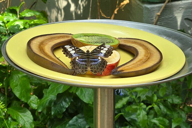 Lincoln Park Nature Museum and Zoo Public Walking Tour - Final Thoughts: Is This Tour Right for You?