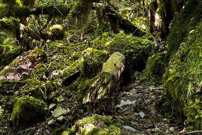 Lindeman and Chilliwack Lakes Sightseeing Tour - Pricing and Value