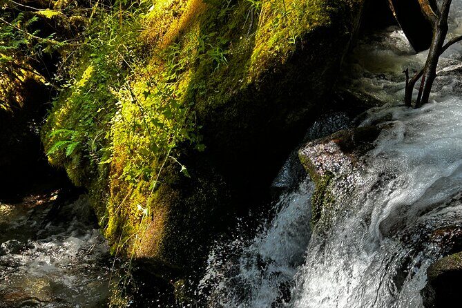 Lindeman and Chilliwack Lakes Sightseeing Tour - Practical Tips for Travelers