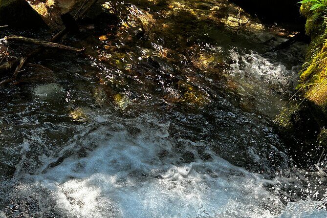 Lindeman and Chilliwack Lakes Sightseeing Tour - FAQ