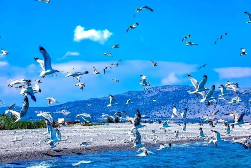 Lindos: 1.5 Hour Glass-Bottom Boat Cruise with Swim Stops - FAQ