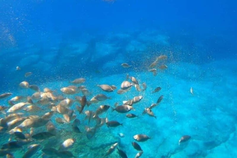 Lindos: Submarine Cruise with Swimming Stop at Navarone Bay - FAQ