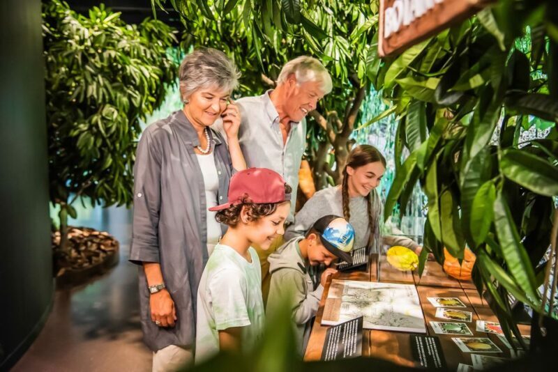 Lindt Home of Chocolate Museum Entry Ticket - The Experience for Different Types of Visitors