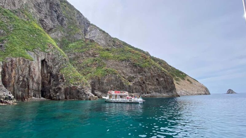 Linea isola di Palmarola - FAQ