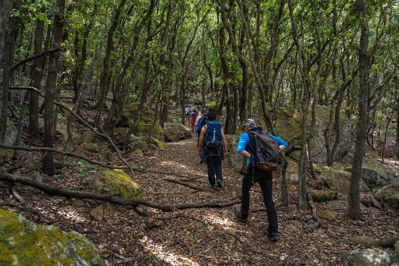 Linea isola di Zannone - An In-Depth Look at the Zannone Island Tour Experience