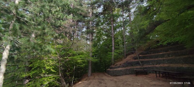 Linguaglossa: North Etna Guided Forest Walking Tour - Frequently Asked Questions