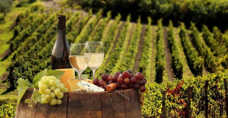 Linguaglossa: Wine Tasting Experience at Etna Nord - Key Points