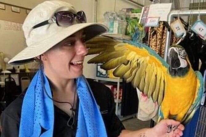 Lion Habitat Ranch Admission Ticket in Las Vegas - FAQ