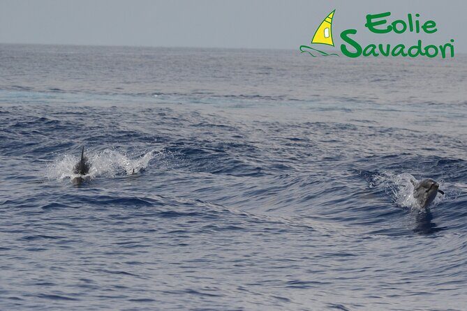 Lipari - Panarea - Stromboli by night - Who Is This Tour Best For?