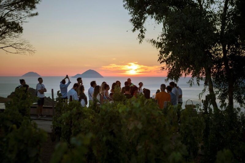 LIPARI WINERY - SUNSET WINE TASTING - Final Thoughts