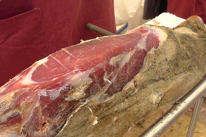 Lipica Stud Farm- Private Experience from Koper - Who Will Love This Tour?