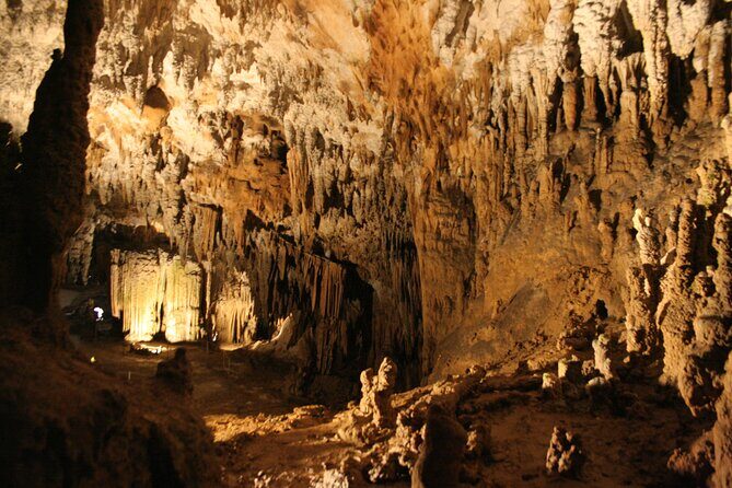 Lipica Stud Farm & Skocjan Caves - Small Group Tour from Koper - FAQs
