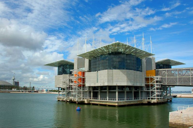 Lisbon: 3-in-1 Hop-On Hop-Off Bus and Tram Tours - Public tram access and the Carris Museum bonus