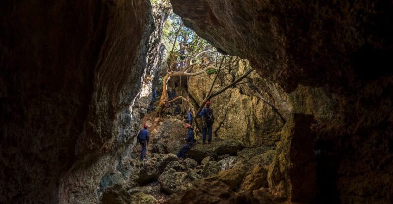 Lisbon: Adventure Circuit, Arrábida Park, Setubal, Sesimbra - Introduction: Exploring a Unique Adventure in Arrábida