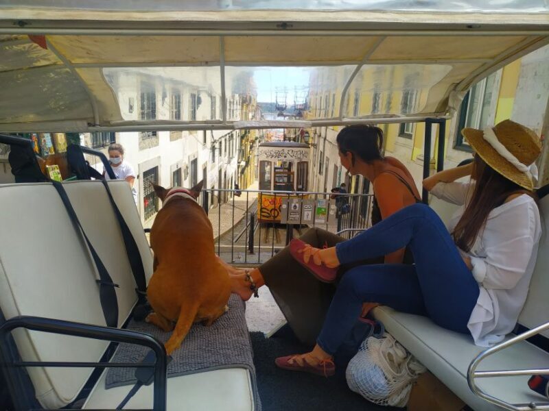 Lisbon: All City Premium Private Guided Tour by Tuk-Tuk - What to Expect from the Experience