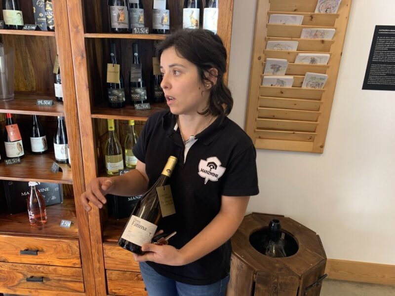 Lisbon Area Wine Tour - Exploring the Lisbon Region’s Hidden Wine Treasures