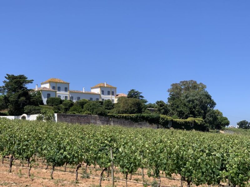 Lisbon Area Wine Tour - FAQ