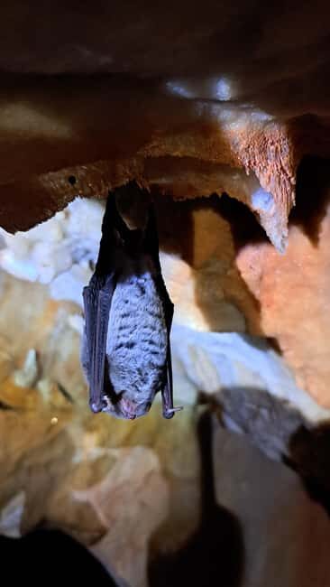 Lisbon: Arrábida Natural Park Cave Tour with Guide - The Value and Practical Considerations