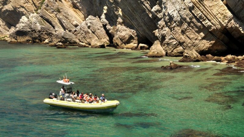 Lisbon: Arrábida Natural Park Dolphin Watching Boat Tour - Scenic Coast and Additional Stops