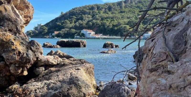 Lisbon: Arrábida & Sesimbra w/ Palmela Castle & Wine Tasting - Key Points