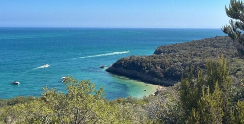 Lisbon: Arrábida & Sesimbra w/ Palmela Castle & Wine Tasting - FAQs