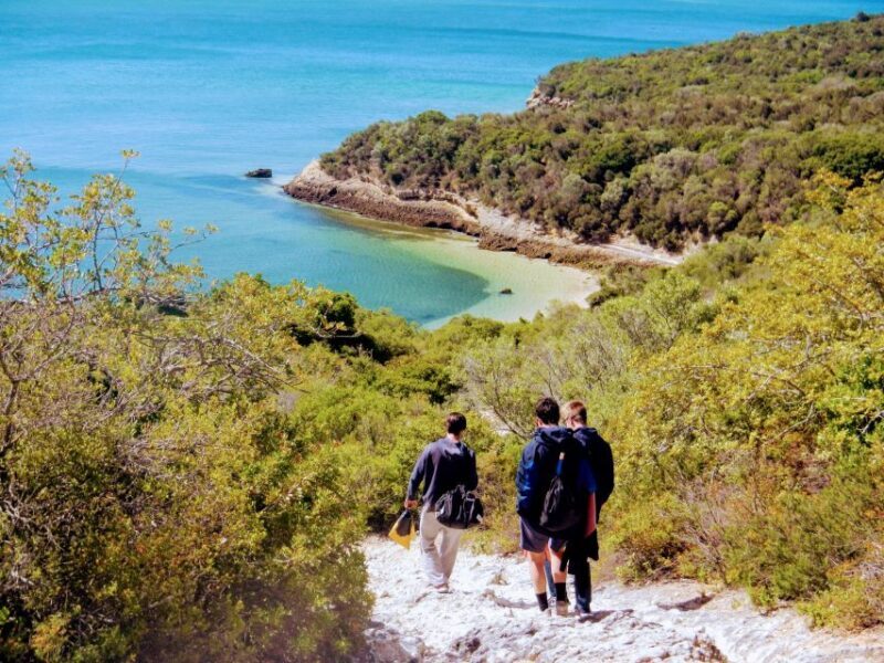 Lisbon: Arrábida Snorkeling Adventure - Final Thoughts: Who Should Consider This Tour?