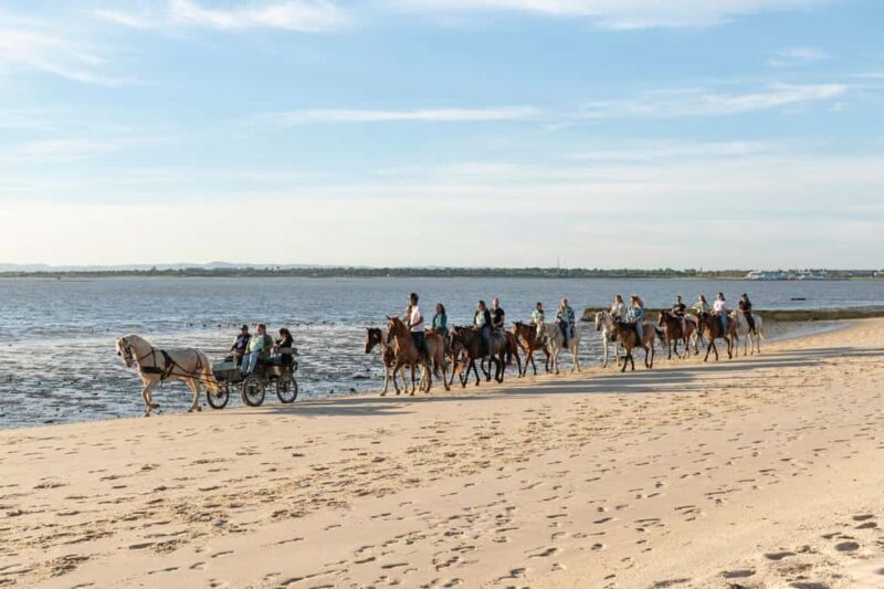Lisbon Bachelor Beach Horseback Adventure - What’s Actually Involved?