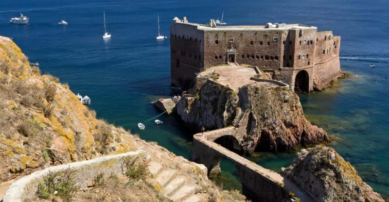 Lisbon: Berlenga Island Full Day Tour - Key Points
