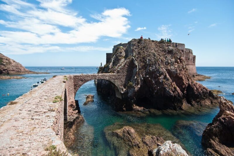 Lisbon: Berlenga Island Full Day Tour - Who Should Consider This Tour