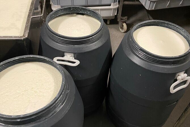 Lisbon Cheese Factory Visit, Wine Tasting and Tile Painting Tour - Whats Included and Whats Not