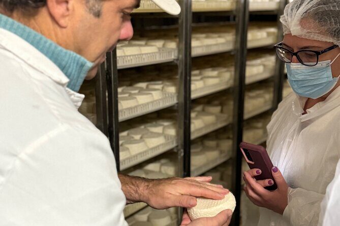 Lisbon Cheese Factory Visit, Wine Tasting and Tile Painting Tour - FAQs