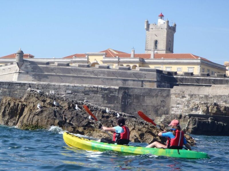 Lisbon: Coast Guided Kayak Tour - What’s in Store with the Lisbon Coast Kayak Tour?