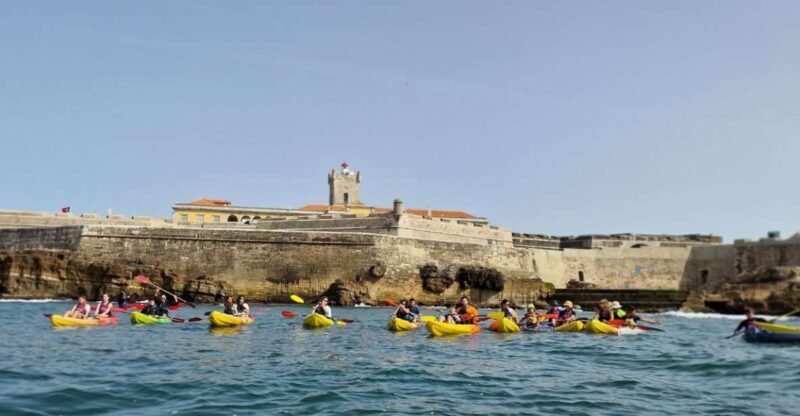 Lisbon: Coast Guided Kayak Tour - What Do the Reviews Say?