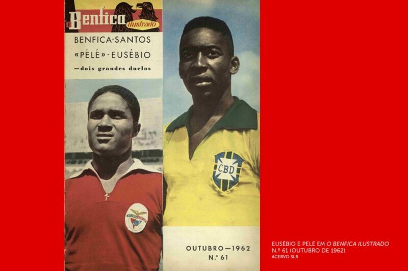 Lisbon: Customized Luz Stadium and Guided Museum Tour - FAQs