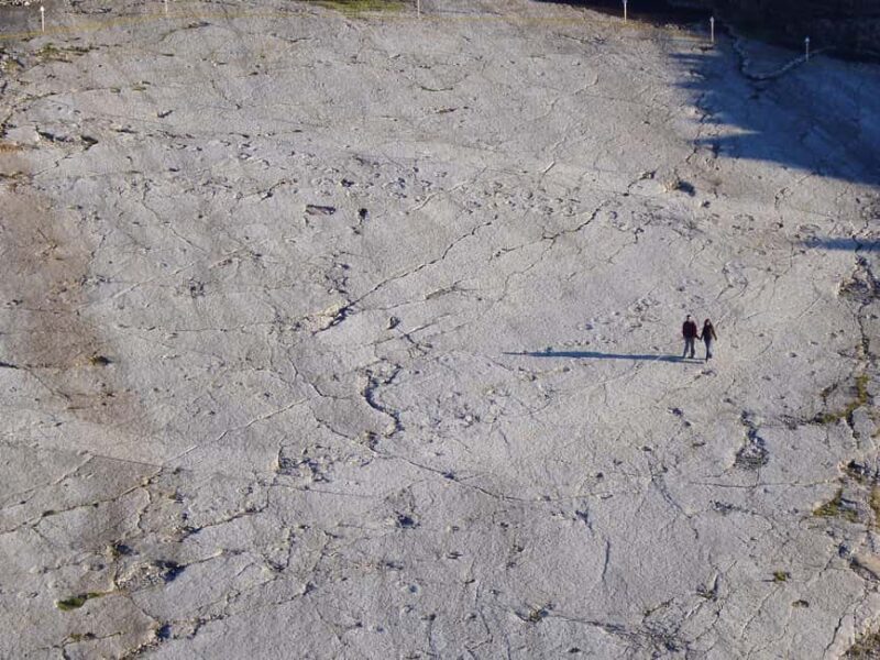 Lisbon: Dinosaur Footprints, Caves, and Obidos Tour - Discovering Portugal’s Prehistoric and Natural Marvels