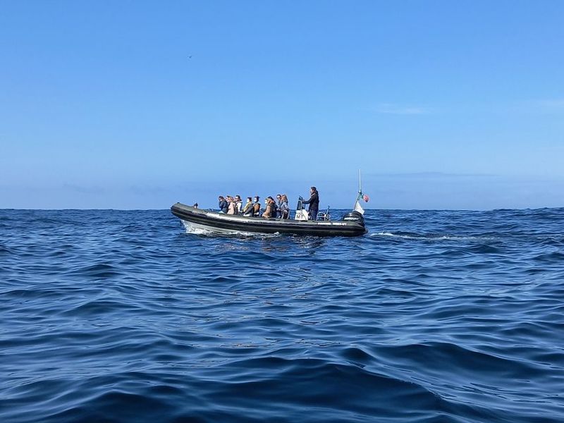 Lisbon: Dolphin Watching with Marine Biologist - Bugio Lighthouse and the Lisbon Coastline Views