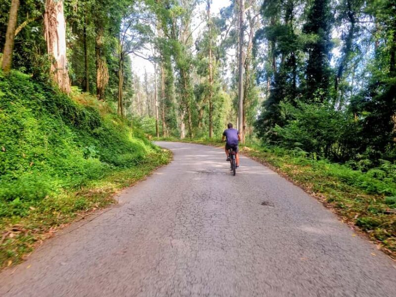 Lisbon: E-Bike Adventure to Belém & Monsanto com Degustação - Potential Drawbacks