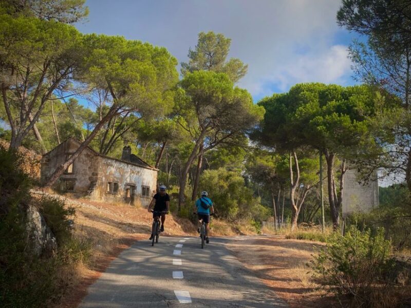 Lisbon: E-bike Trip from the Sintra Mountains to Cascais Sea - Final Thoughts
